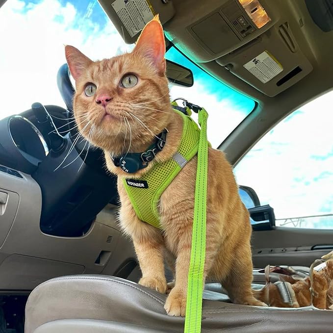 Best Pet Supplies Voyager Step-in Air All Weather Mesh Harness and Reflective Dog 5 ft Leash Combo with Neoprene Handle, for Small, Medium and Large Breed Puppies - Set (Lime Green), XS
