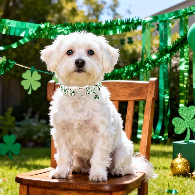 DOGWONG St Patrick's Dog Collar, Green Clover Pet Collar Cotton Holiday Pet Collar Cute Puppy Collar Adjustable Pet Dog Collars for Small Medium Dogs,M