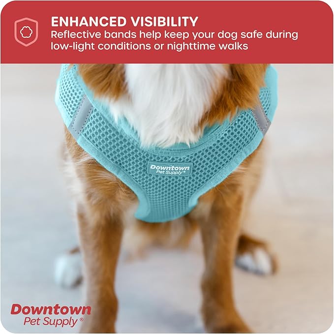 Downtown Pet Supply Step-in Dog Harness – No Pull, Adjustable Padded Mesh with Reflective Trim, Secure Buckle Strap – Comfortable & Breathable Small Dog Harness, XX-Small, Light Blue