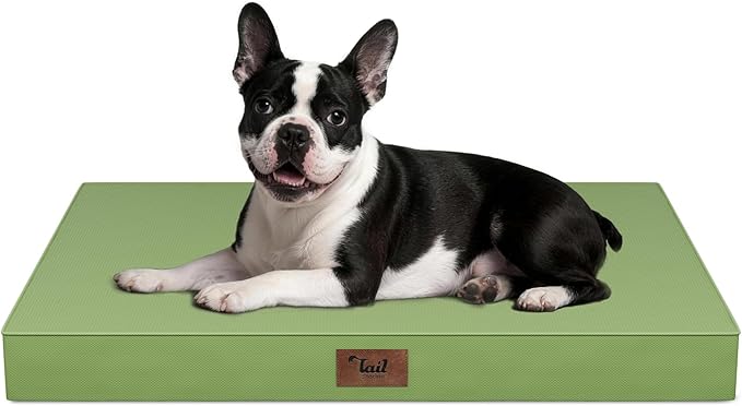 Outdoor Orthopedic Dog Bed for Medium Dogs & Cats, Waterproof Flat Pet Mat with Egg Crate Foam & Washable Removable Oxford Cover, 30x20 Inch, Light Green