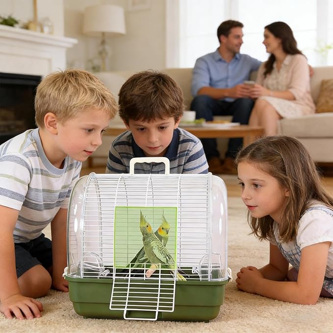 Transparent Small Bird - Travel Carrier Full View, Cockatiel Parakeet Conure, Indoor Outdoor Balcony Use, Living Room Park Accessory, Canary Lovebird Portable Home, Bird Travel for