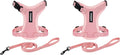 Voyager Step-in Lock Adjustable Cat Harness w. Cat Leash Combo Set with Neoprene Handle 5ft - Supports Small, Medium and Large Breed Cats by Best Pet Supplies - Pink, S (Pack of 2)