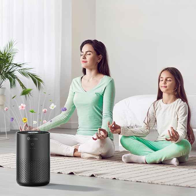 Air Purifiers for Bedroom Home with H13 True HEPA Filter, 20dB Quiet Air Cleaner for Pets Hair Dander Odor, Smoke Dust Pollen, Aromatherapy Function, Black