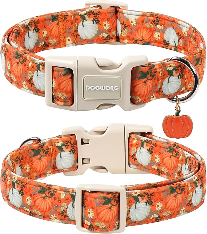 DOGWONG Fall Pumpkin Dog Collar- Cute Daisy Pumpkin Dog Collars Adjustable Orange Halloween Thanksgiving Dog Collar for Small Medium Large Dogs XS