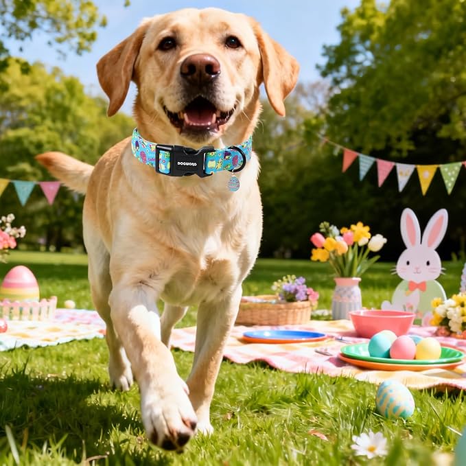 DOGWONG Easter Dog Collar, Cute Easter Egg Pet Collar Durable Holiday Girl Boy Adjustable Cotton Dog Collars with Quick Release Buckle for Puppy Small Dogs,XS Visit The Elegant Little Tail Store
