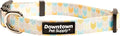 Downtown Pet Supply - Best & Fancy Dog Collar - Lightweight Adjustable with Quick Buckle & D-Ring - Hand Wash Safe - Chevron - Medium