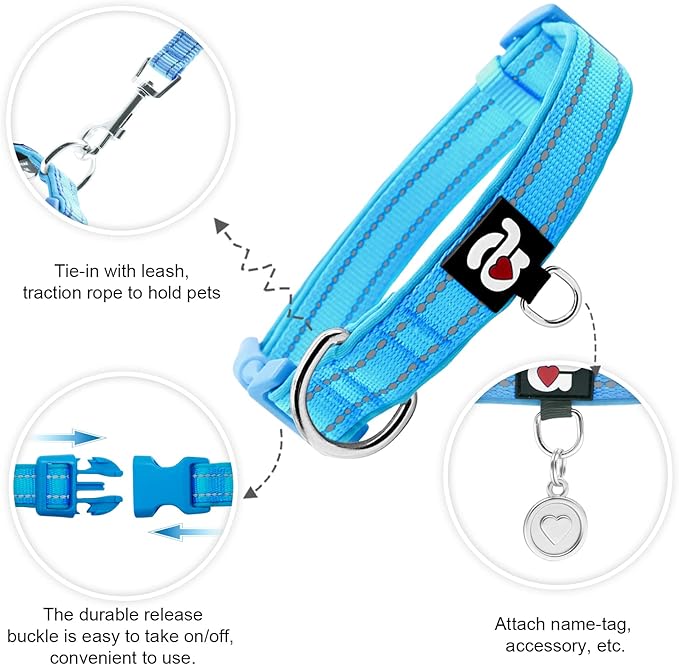 azuza Reflective Dog Collar,Soft Neoprene Padded Pet Collar with ID Tag Ring,Adjustable for Puppy and Small Dogs,Sky Blue,XS