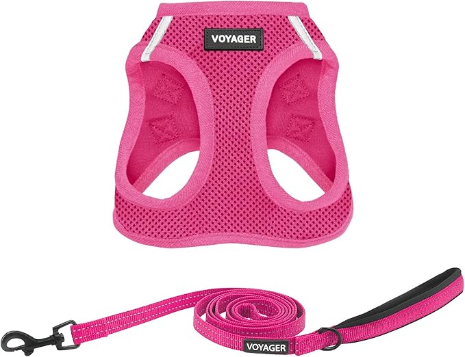 Best Pet Supplies Voyager Step-in Air All Weather Mesh Harness and Reflective Dog 5 ft Leash Combo with Neoprene Handle, for Small, Medium and Large Breed Puppies - Set (Fuchsia), L