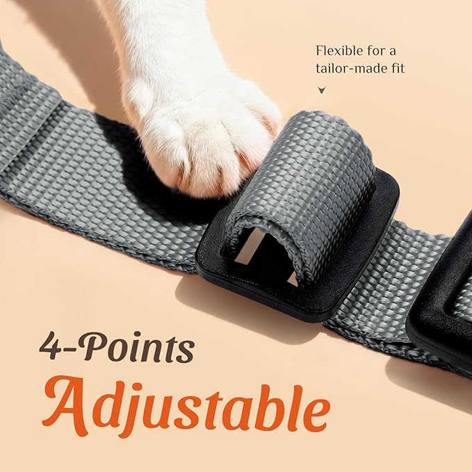Dooradar Cat Harness and Leash Set, Escape Proof Safe Adjustable Kitten Vest Harnesses for Walking, Easy Control Soft Breathable Mesh Jacket with Reflective Strips for Cats, Grey, XXS