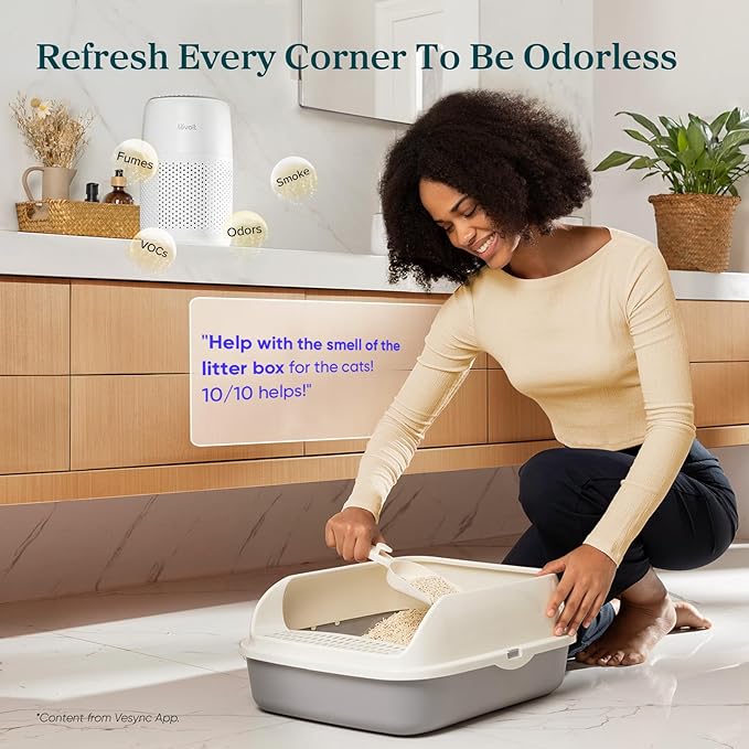 LEVOIT Air Purifiers for Bedroom Home Dorm, AHAM Verified, 3-in-1 Filter Cleaner With Aroma Pad, Filters Smoke, Allergens, Pet Dander, Odor, Dust, Office, Desktop, Core Mini-P, White