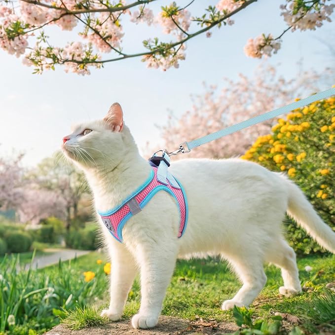 SCENEREAL Cat Harness and Leash Set Escape Proof, Adjustable Soft Air Mesh Kitten Harnesses for Girls Boys Small Medium Big Cats, Reflective Light Travel Pet Walking Vest for Puppy Rabbit, Pink XL