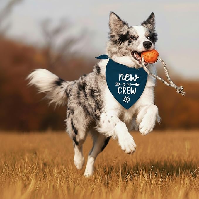 New to The Crew Dog Bandana New Puppy Announcement Gender Reveal Gift for New Owners Puppy Bandana Dog Owner Gifts Soft Triangle Bibs Scarf Accessories for Small Medium Dogs Pets (Blue)