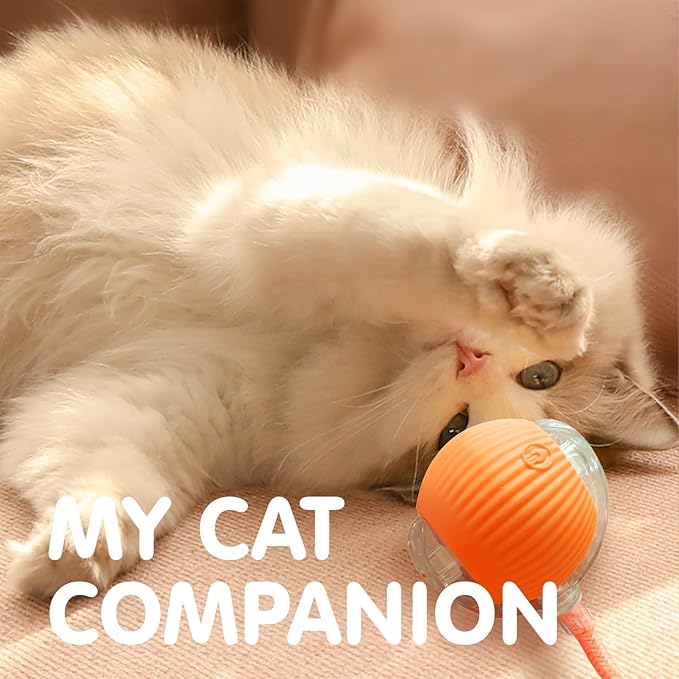 Rocfish Interactive Cat Toy for Indoor Cat, Smart Automatic Cat Chase Ball Toy (Orange-N)