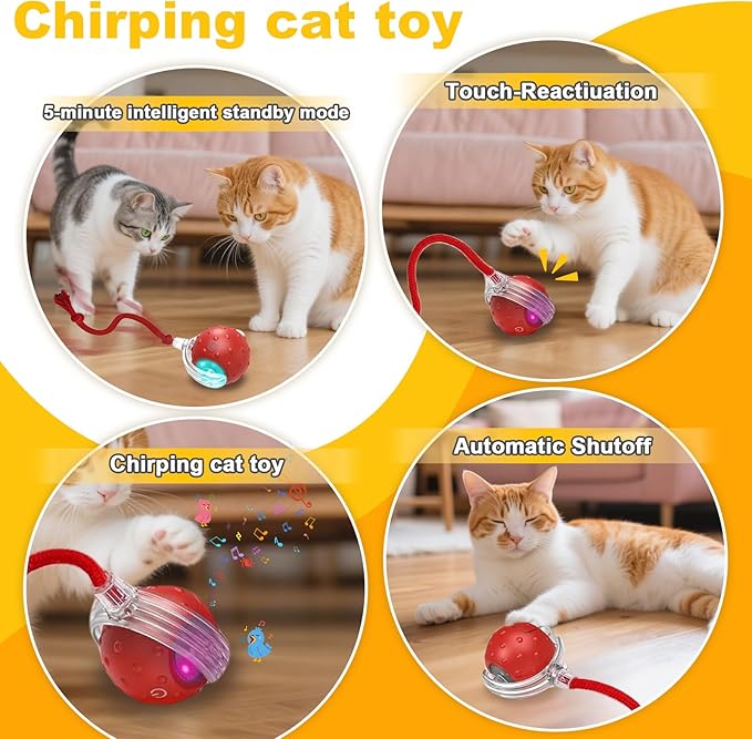 2-Pack Interactive Cat Toys Ball for indoor Cats＆Dog,Automatic Cat Toy with Smart Obstacle Avoidance & Bird Chirps ,Includes 4 Cat Spiral Spring,Cat Enrichment Toys for Indoor Cats(Red＆Yellow)