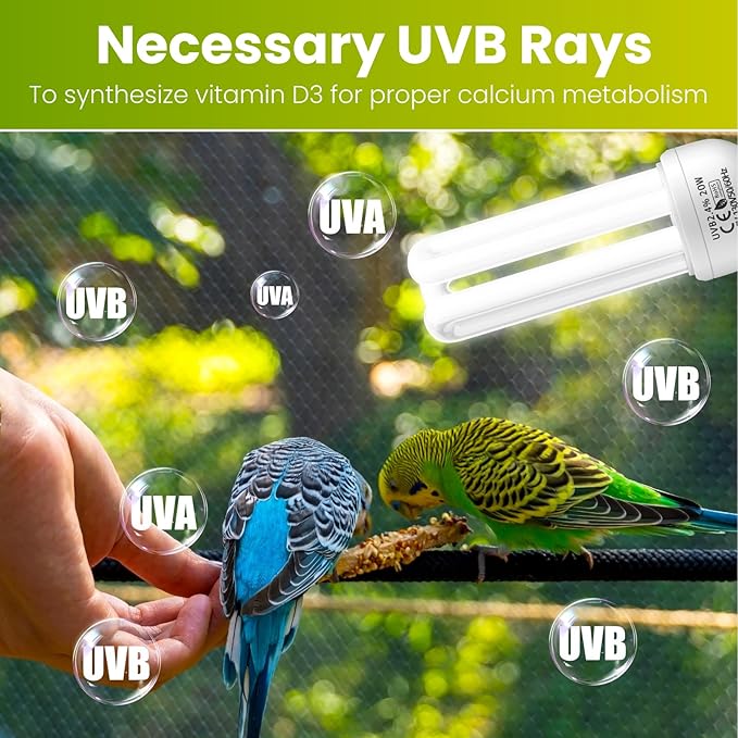 GlowUp 2.4% UVB Bulb for Birds, 20W Compact Fluorescent Light Bulb UVA UVB Light Bulbs E26 for Captive Birds and Reptiles