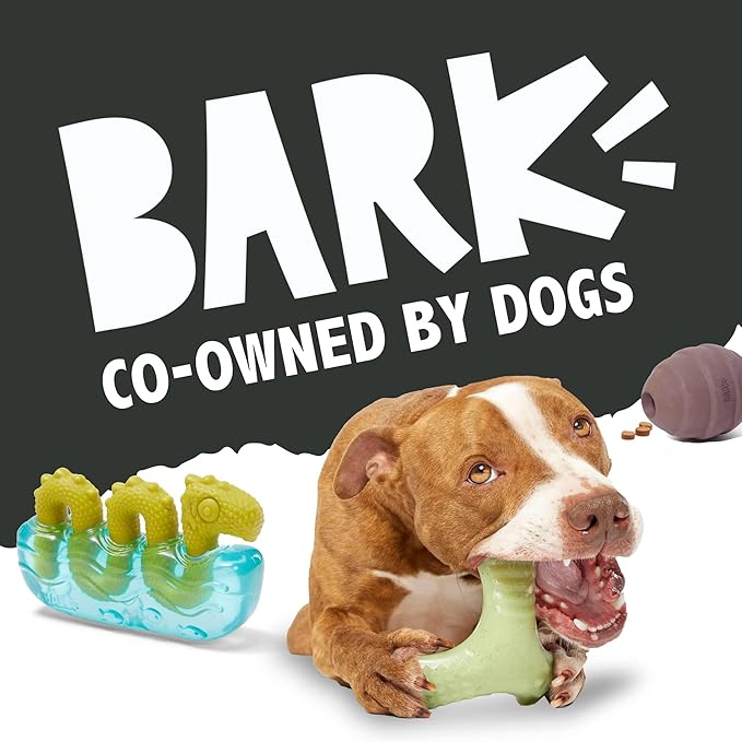 Barkbox Super Chewer Tough Dog Chew Toys for Aggressive Chewers, Dental Stimulating (Turkey - Large)
