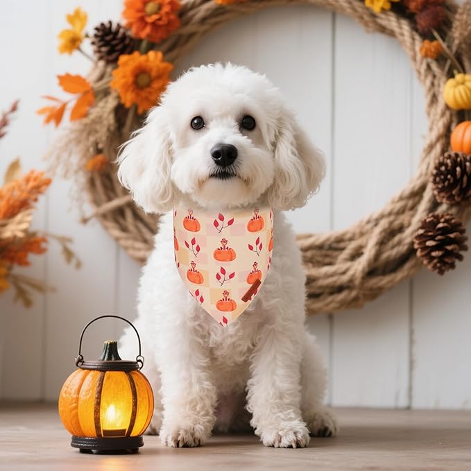 ADOGGYGO Thanksgiving Dog Bandanas 2 Pack, Reversible Turkey Pumpkin Pet Scarf Bib, Adjustable Fit Orange Thanksgiving Bandana for Small Dogs (Small)