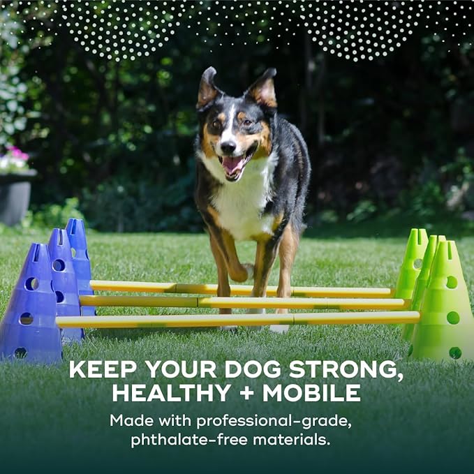 FitPAWS Ball Dynamics CanineGym Agility Kit