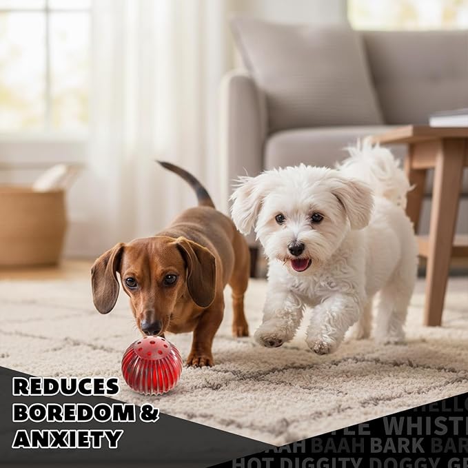 Pet Qwerks Blinky Babble Ball - Flashing Interactive Chew Dog Toy - Small