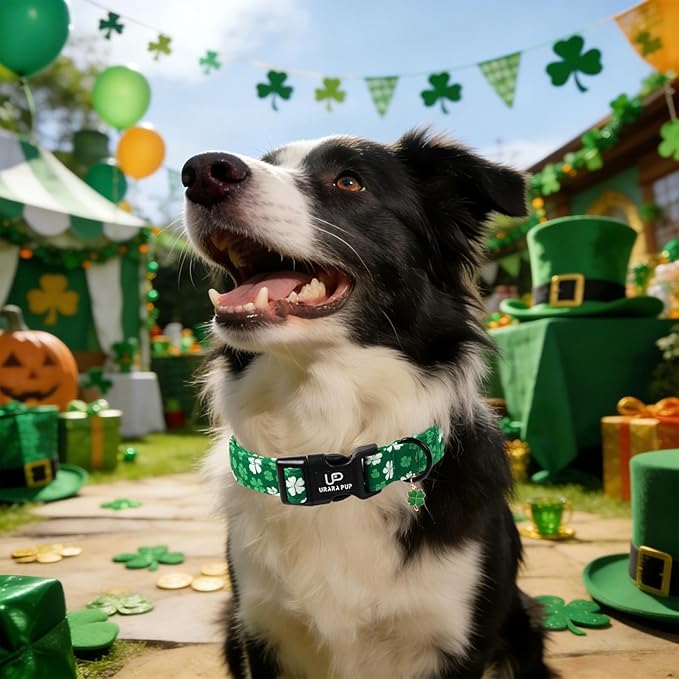 St. Patrick's Day Dog Collar, UP URARA PUP Shamrock Adjustable Pet Collar with Quick Release, St. Patrick's Day Dog Accessories for Small Medium Large Dogs