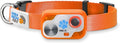 MS-5 Designer Series, Premium Performance Automatic Pet Door Collar by High Tech Pet Brand - Class A Battery Included - Stylish Design - Waterproof - Rugged - USA Support (Orange)