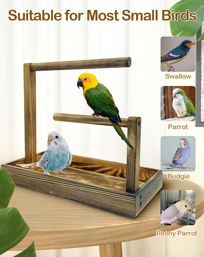 8 Pcs Small Bird Training Stand Set Portable Tabletop Birds Perch Desktop Platform Training Perch with Disposable Pads Parakeet Play Gyms Exercise for Budgie Conure Parrot Cockatiel