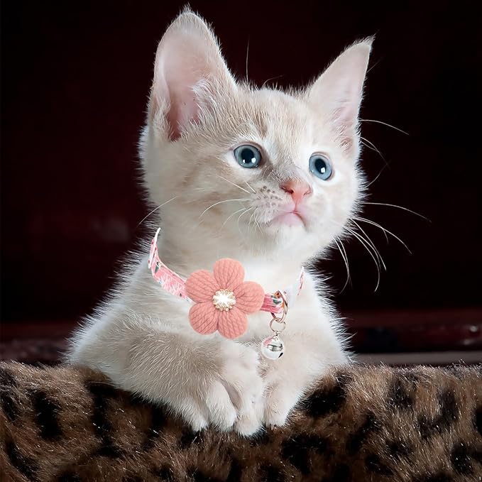 Cat Collar, HYQHYX Breakaway Kitten Collar with Flower,Rhinestone Kitty Collar with Bell, Floral Pet Collar with Safety Buckle for Cats and Puppy Dog