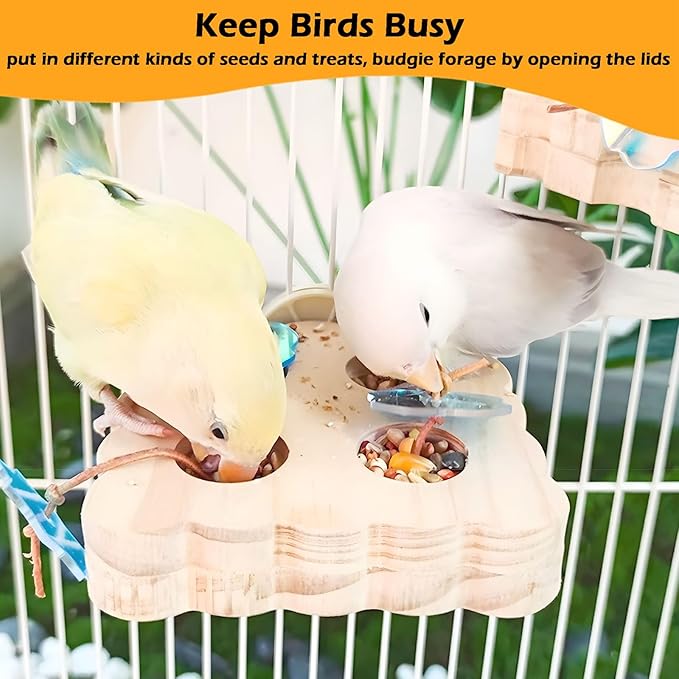 2Pcs Wooden Small Bird Foraging Toys, Interactive Parakeet Foraging Toys for Cage, Bird Enrichment Toys for Conure Slow Feeder, Budgie Cage Toy Puzzle, Parrot Toys for Small Sized Birds