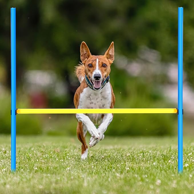 8 Set Dog Agility Jump Adjustable Dog Agility Hurdle Training Equipment Portable Jumper Hurdle Park Indoor Outdoor Exercise Tool 3.44ft High/ 2.95ft Wide(Blue and Yellow)