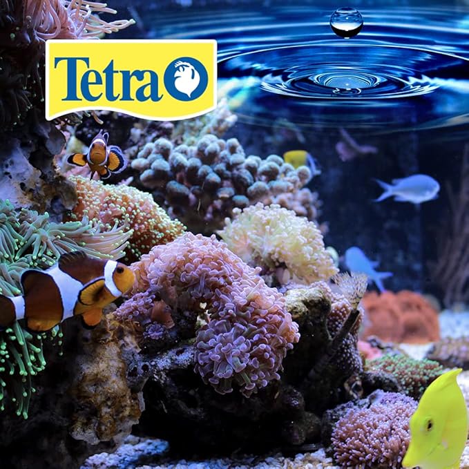 Tetra BettaSafe, Aquarium Water Conditioner For Bettas, 1.69-Ounce, 50ml, Golds & Yellows (16837)