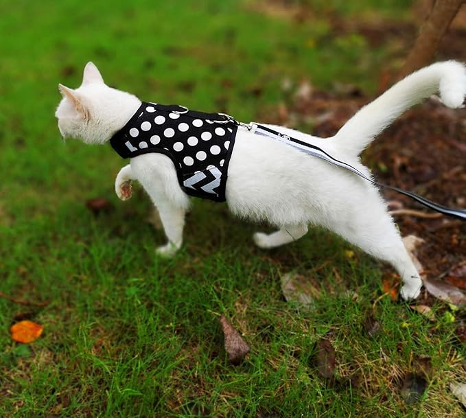 Cat Harness and Leash for Walking Escape Proof, Adjustable Cat Vest Harness, Padded Stylish Cat Walking Jackets, Polka Dot Black, Extra Large