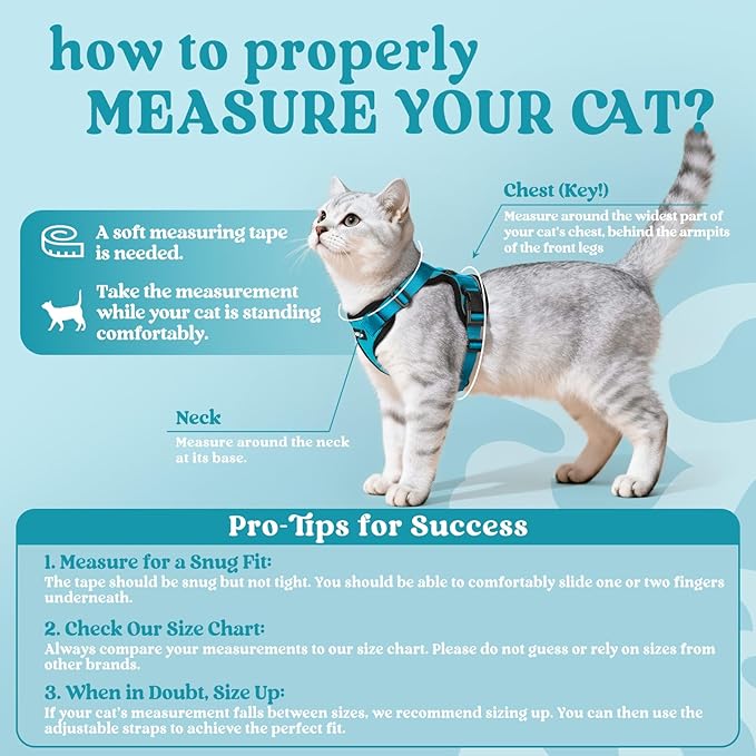 rabbitgoo Cat Harness and Leash for Walking, Escape Proof Soft Adjustable Vest Harnesses for Cats, Easy Control Breathable Reflective Strips Jacket, Teal, XXS