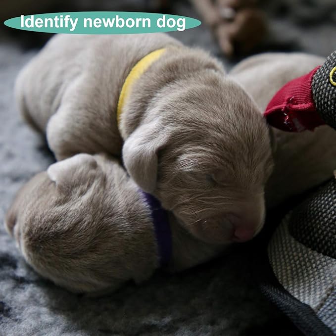 Luter 15 Colors 20x1cm Puppy Collars, Soft Adjustable Whelping Collars for Puppy ID Collars for Newborn Dog Kittens for Pet