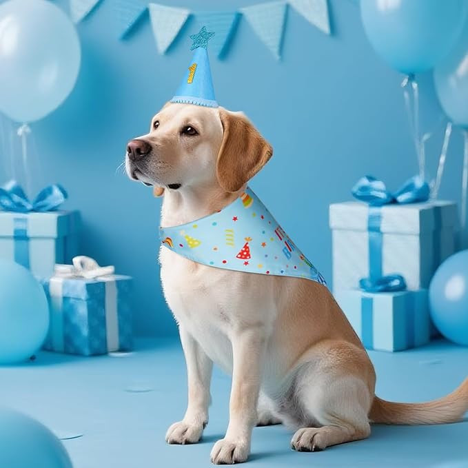 Dog Birthday Party Supplies with Hat Bandana Numbers, Light Blue Dog Birthday Set for Large Medium Pets Puppy Boy