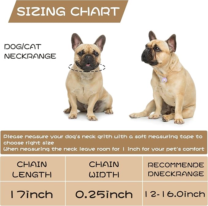 HOWWFALY Dog Collar and Cat Chain Necklace Stainless Steel Adjustable 18K Gold Heart-Shaped Necklace for Small Pets Cats Kitten Puppy (Gold, 17.7 inch)