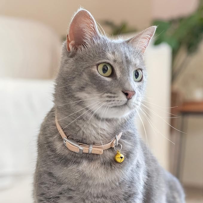 CollarDirect Leather Cat Collar with Bell - Kitten Collar, Small and Big Cat Strap for Boy Cats, Girl Cats with Safety Elastic Strap (Neck Fit 8"-11", Beige)