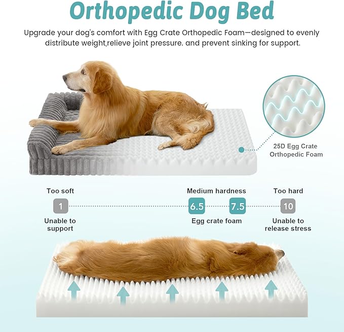 Cute Dog Bed for Medium Dogs, Faux Rabbit Fur Orthopedic Foam Dog Bed with Sides, Removable Washable Cover & Waterproof Lining, Comfortable Pet Couch, Grey (36" L x 27" W x 6.5" Th)