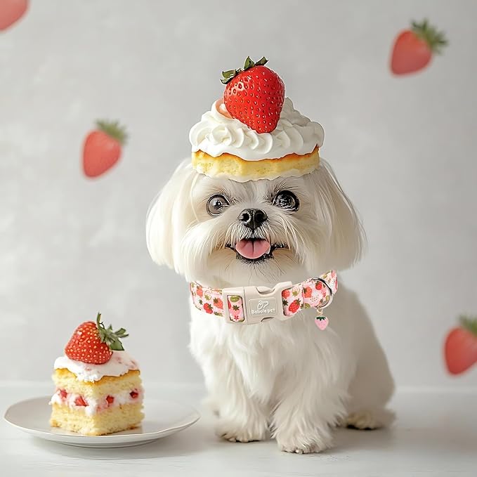 Strawberry Dog Collar for Small Dogs - Cute Spring Pink Dog Collars, Summer Pastel Puppy Collars, Soft Adjustable Boy Girl Dogs Collar with Quick-Release Buckle XS
