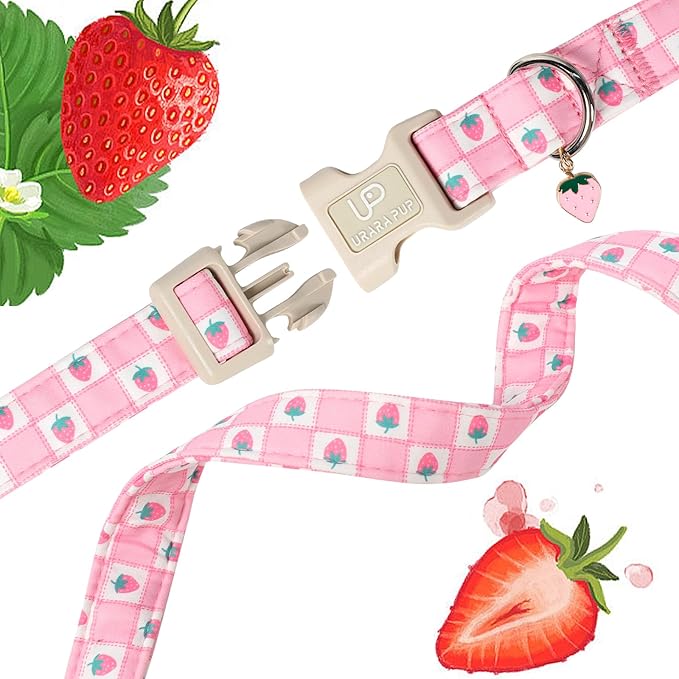 Spring Dog Collar, UP URARA PUP Strawberry Collars in Pink Checkered Adjustable Pet Collar with Quick Release, Daily Dog Accessories for Small Medium Large Dogs