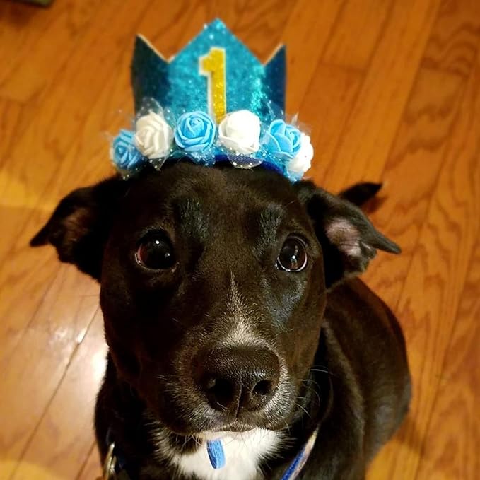Pet Crown Hat Dog Birthday Reusable Birthday Party Crown for Boy Cat Doggie Headband Hats with 0-9 Figures Charms Pet Gift Grooming Accessories with Glue Dots Pack of 1(Blue)