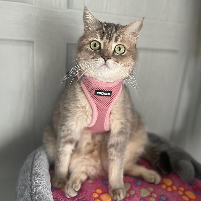 Best Pet Supplies Voyager Step-in Air Harness - All Weather Mesh, Reflective, No Pull Harness for Dogs, Cats - Secure with Hook & Loop Fastener, Buckle, Double D-Rings - Pink, XS