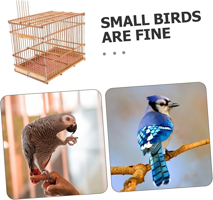 Hemoton Portable Lightweight Bamboo Bird Cage for Small Parrots Eco-Friendly Handwoven Bird Carrier with Unique Design for Travel and Outdoor Use
