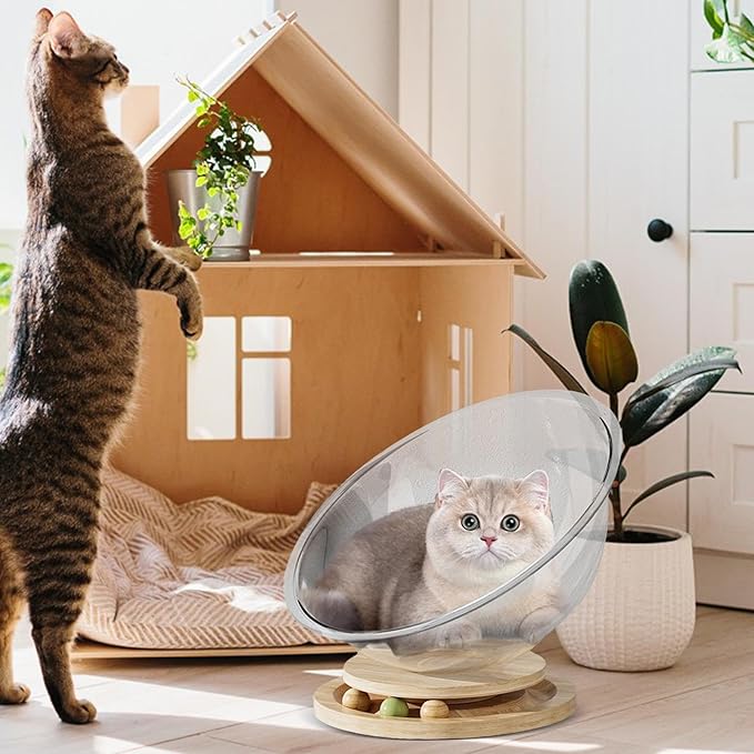 Cat Perch- Cute Freestanding Cat Space Perch Bed, Stylish Stable Activity Center Space Cat Bed | Easy Cleaning Transparent Cat House Set, Perfect Cat Furniture Pet Supplies for Kittens Sleeping