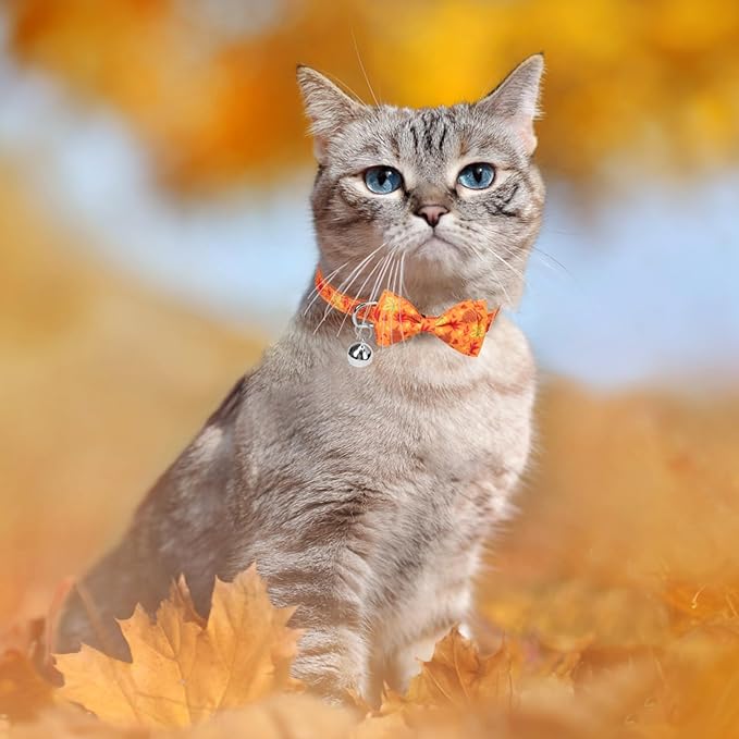 SCENEREAL Fall Thanksgiviing Cat Collar Breakaway Girl Boy, 3 Pack Turkey Pumpkin Pattern Adjustable Kitten Collars with Bell, Holiday Cute Cat Collars with Bowtie and Safety Buckle
