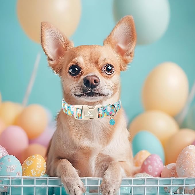 Easter Dog Collar for Small Dogs - Cute Easter Egg Hunt Dog Collars for Boy Girl Dogs, Playful Bunny & Chick Print, Lightweight Adjustable Spring Holiday Dog Collar S