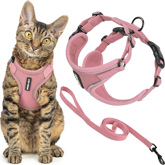 Voyager Escape-Proof Step-in Lock Cat Harness & 5ft Neoprene-Handle Leash Set All-Weather Mesh with Reflective Stitching for Small to Large Cats by Best Pet Supplies, Pink (327), XS