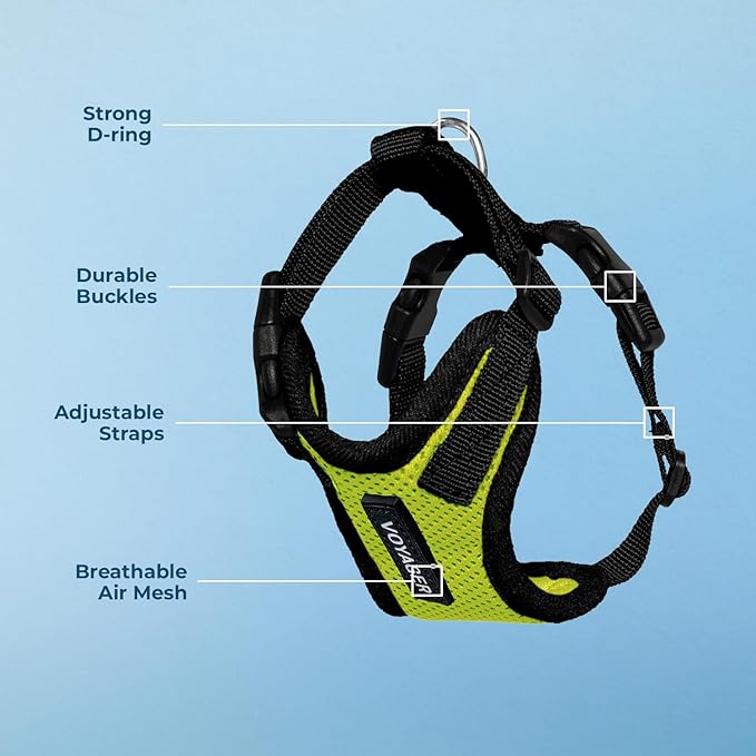Voyager Step-in Pet Harness - All Weather Mesh, Adjustable Step in Harness for Cats and Dogs by Best Pet Supplies - Lime Green/Black Trim, M