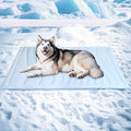BECEMURU Dog Cooling Mat in Summer & Plush Warm Blanket in Winter, 2-Sided Reversible Dog Pad, 60"x40" Thickened Pet Bed for Crate, Kennel, Sofa - Machine Washable, Non-Gel, Durable