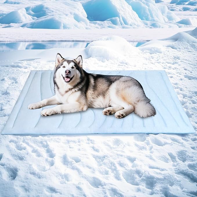 BECEMURU Dog Cooling Mat in Summer & Plush Warm Blanket in Winter, 2-Sided Reversible Dog Pad, 60"x40" Thickened Pet Bed for Crate, Kennel, Sofa - Machine Washable, Non-Gel, Durable
