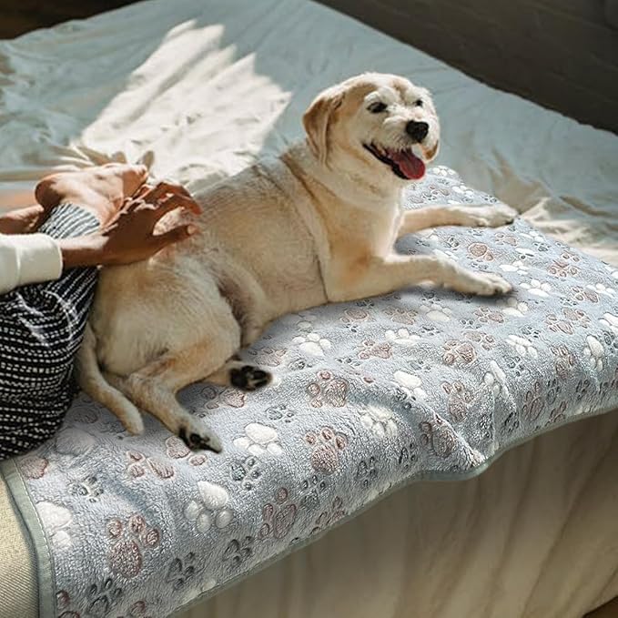 Dog Blankets for Medium Large Dogs Washable, 3 Pack Pet Blanket Washable 41" x 31", Fuzzy Soft Puppy Throw Cover for Kennel Crate Bed